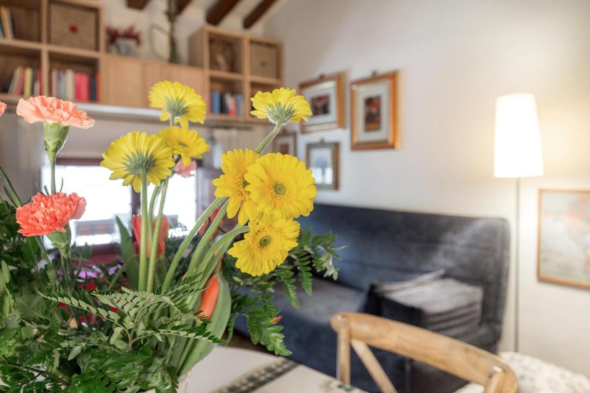 A Nest In The Heart Of Apartamento Florencia